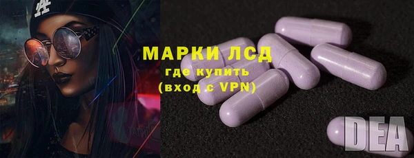 прущие грибы Мегион