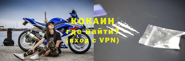 прущие грибы Мегион