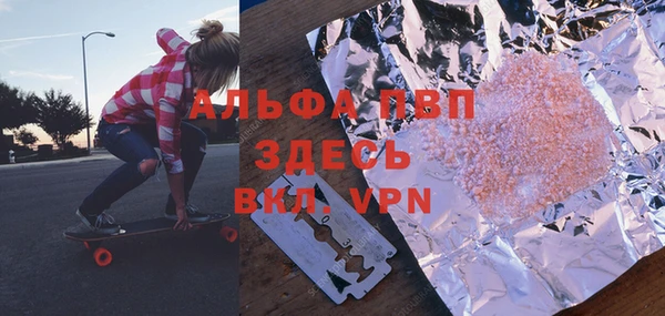 прущие грибы Мегион