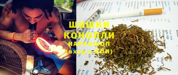 прущие грибы Мегион