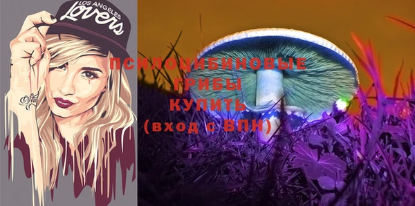альфа пвп Медвежьегорск