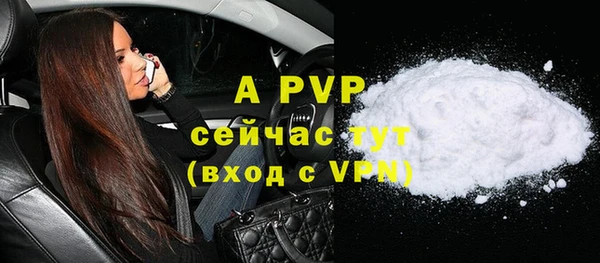 прущие грибы Мегион