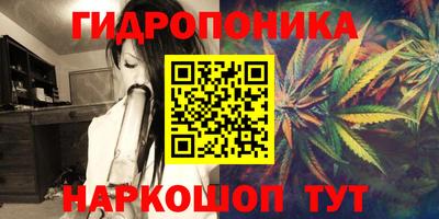 дживик Волжск