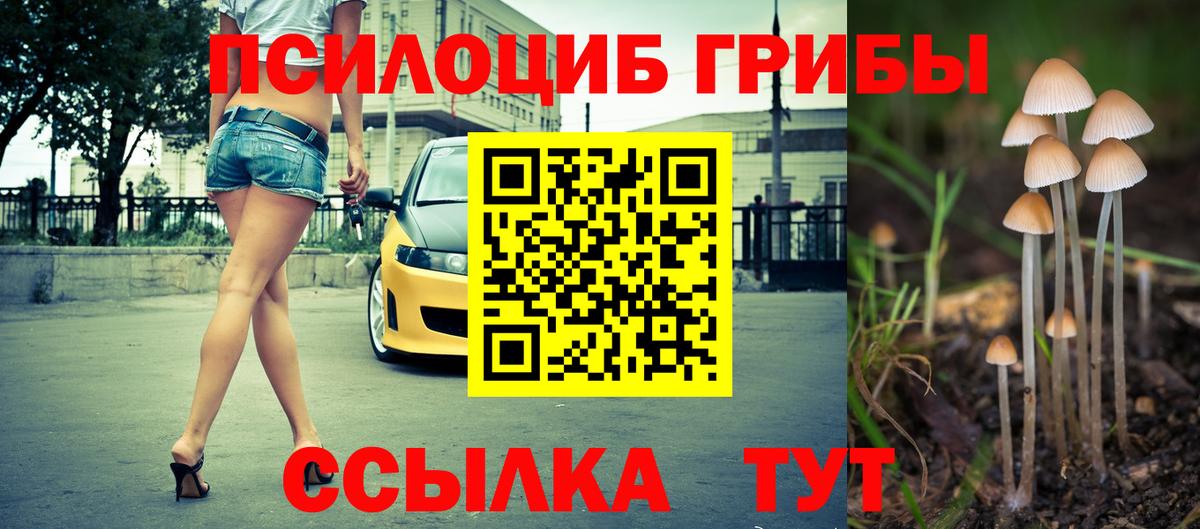 Галлюциногенные грибы мухоморы  даркнет сайт  Чистополь  Псилоцибиновые грибы мухоморы  Вход с VPN 